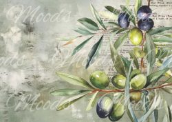 SL026 Tray Cloth Panel 48x34cm R56