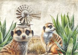SL049 Tray Cloth Panel 48x34cm R56