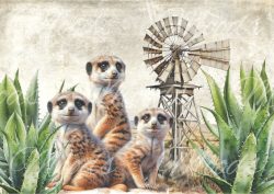 SL050 Tray Cloth Panel 48x34cm R56