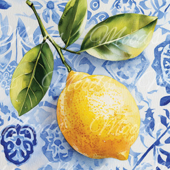 V272 Potholder 21x21cm R18