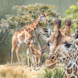 V306 Potholder 21x21cm R18