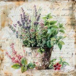 V351 Potholder 21x21cm R18