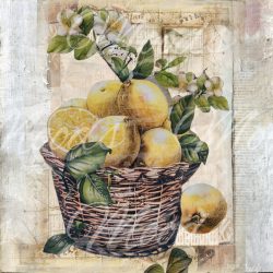 V435 Potholder 21x21cm