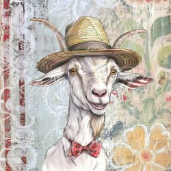 W133 Washcloth/Jammerlappie 30x30cm R30