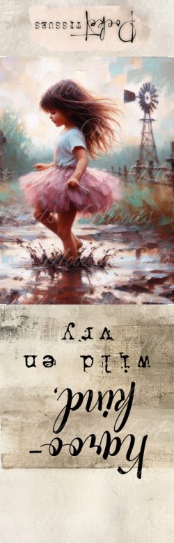 PK019 Pocket Tissues Panel 28x9cm