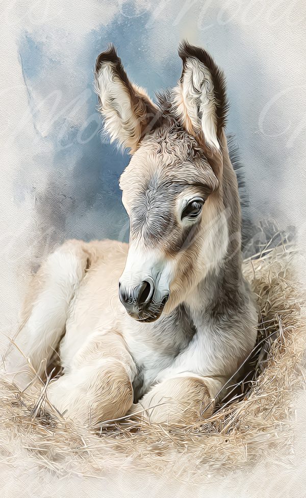 MK009 Microfibre Kitchen Towel Unseamed 65x40cm