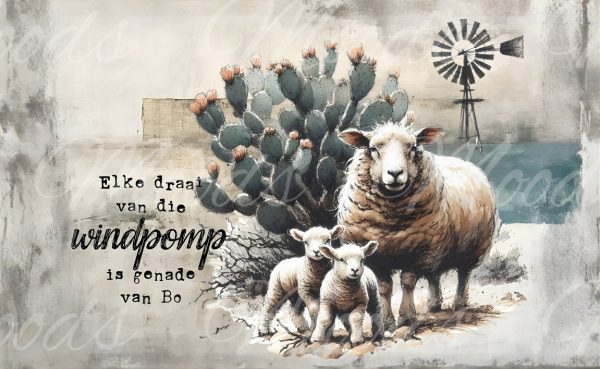 KL009 Front Panel Scatter Cushion Retangular 65x40cm