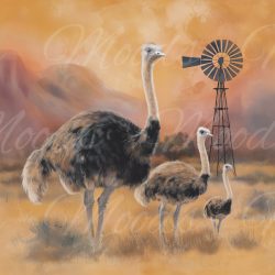 V606 Potholder 21x21cm