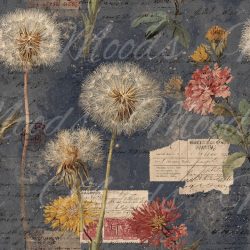 W239 Washcloth/Jammerlappie 30x30cm