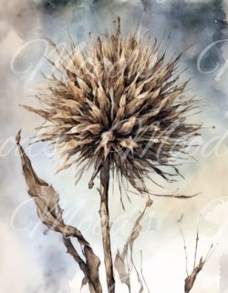 LE004 Lens Cloth (Brillappie) 14x18cm