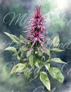 LE008 Lens Cloth (Brillappie) 14x18cm