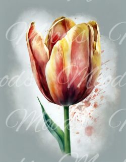 LE009 Lens Cloth (Brillappie) 14x18cm