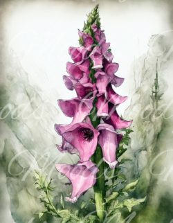 LE012 Lens Cloth (Brillappie) 14x18cm