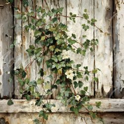 V624 Potholder 21x21cm