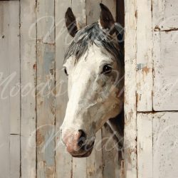 V625 Potholder 21x21cm