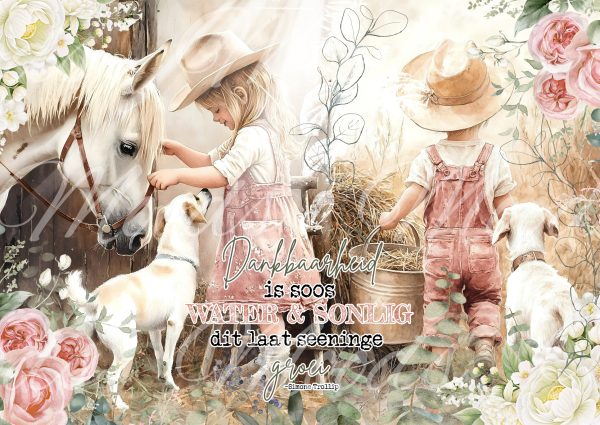 SL265 Tray Cloth Panel 48x34cm