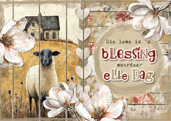 SL270 Tray Cloth Panel 48x34cm